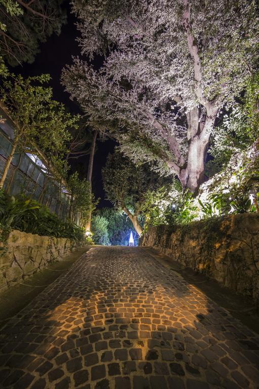 ホテル La Canonica Dei Fiori - Anna Fendi Country House ロンチリオーネ エクステリア 写真